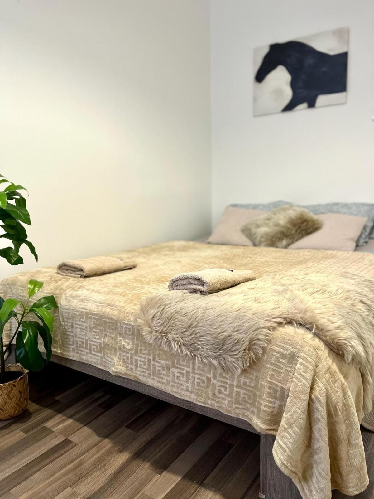 Apartment Adele - Old Town Братислава Екстер'єр фото
